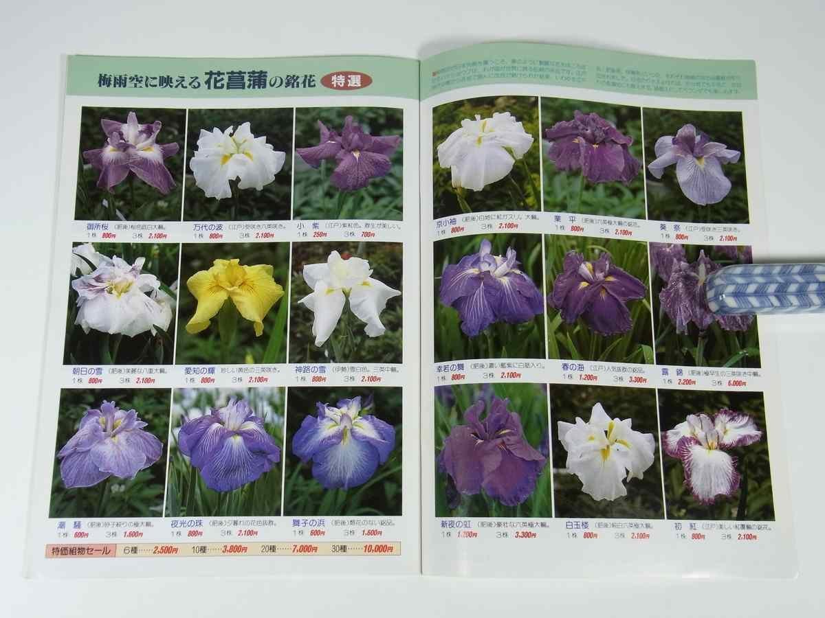  gardening world 1987/6 improvement . publish part small booklet gardening plant wild grasses . flower bonsai garden special collection * clematis hydrangea shrimp ne Queen of the Night another 