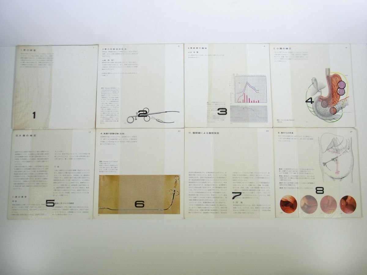 Gastroenterolofische Bildkartei 消化管図譜 全31枚セット 日本C.H.ベーリンガーゾーン株式會社 1968 醫(yī)學 醫(yī)療 病院 胃 小腸 大腸 ほか