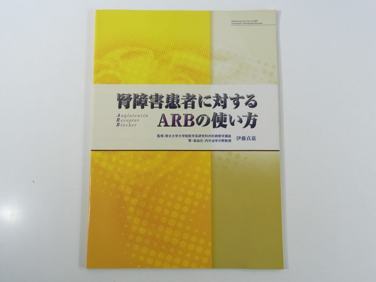 腎障害患者に対するARBの使い方 伊藤貞嘉 メディカルレビュー社 2006 大型冊子 医学 医療 治療 病院 医者_画像1