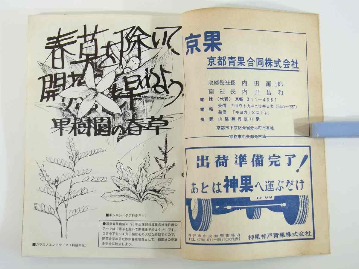 伊予路乃園芸 1975/3 愛媛県松山市 温泉青果農業協同組合 株式会社・澤彦 ミカン園 落葉果樹園 そ菜園 米麦作 ※状態やや難_画像6