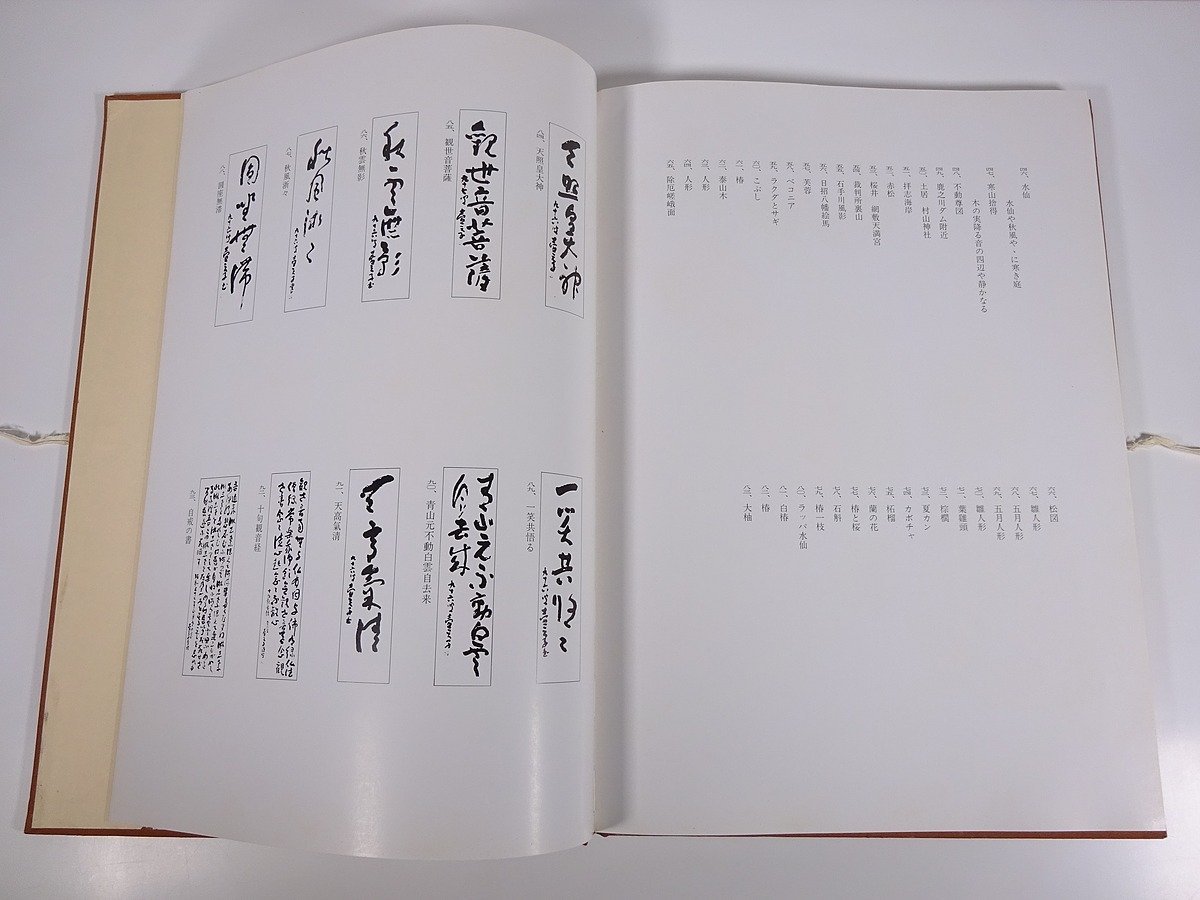 【送料800円】 壺天子画集 村上壺天子 愛媛県 1983 函入り大型本 図版 図録 芸術 美術 絵画 画集 作品集 日本画 書道 ※状態やや難_画像9