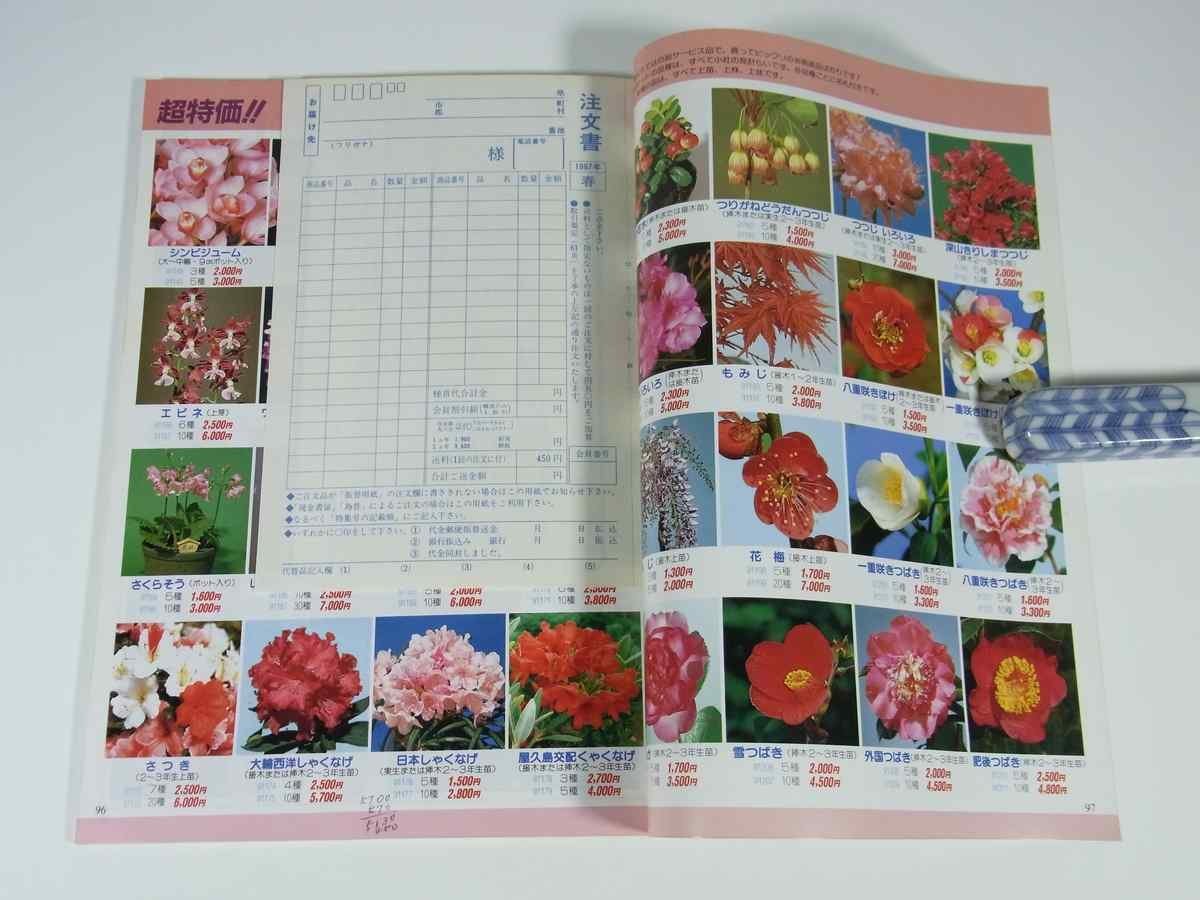 *87 spring. gardening gardening world increase . special collection number improvement . publish part 1987 magazine gardening plant wild grasses . flower bonsai garden 