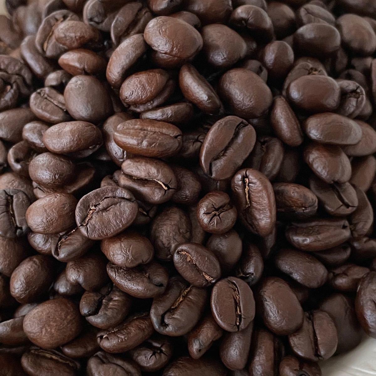 自家焙煎 エルサルバドル SHG 100g 注文後焙煎 YHR-COFFEE 豆のまま コーヒー豆 ギフト プレゼント 友達 友人