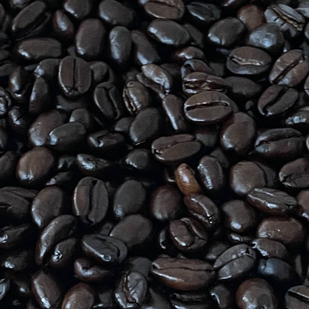 自家焙煎 パプアニューギニア ハイランドスイート 200g 注文後焙煎 YHR-COFFEE 豆のまま コーヒー豆 ギフト 父の日