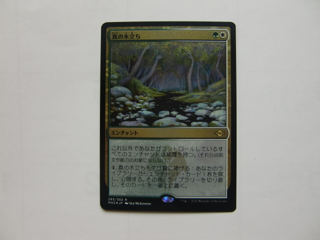 バイン　MTG 真の木立ち/Sterling Grove foil 日本語1枚_画像1