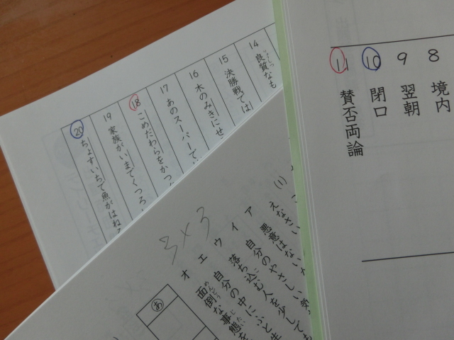 ★小学5年　国語　フルセット　サピックス　教材１年分　デイリーサピックス　A・B授業　サマー　スプリング　ウィンター★SAPIX　2019年度_画像7