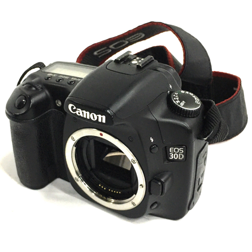 Canon カメラ DS126131 レンズ バッテリー バッグ セット | tspea.org