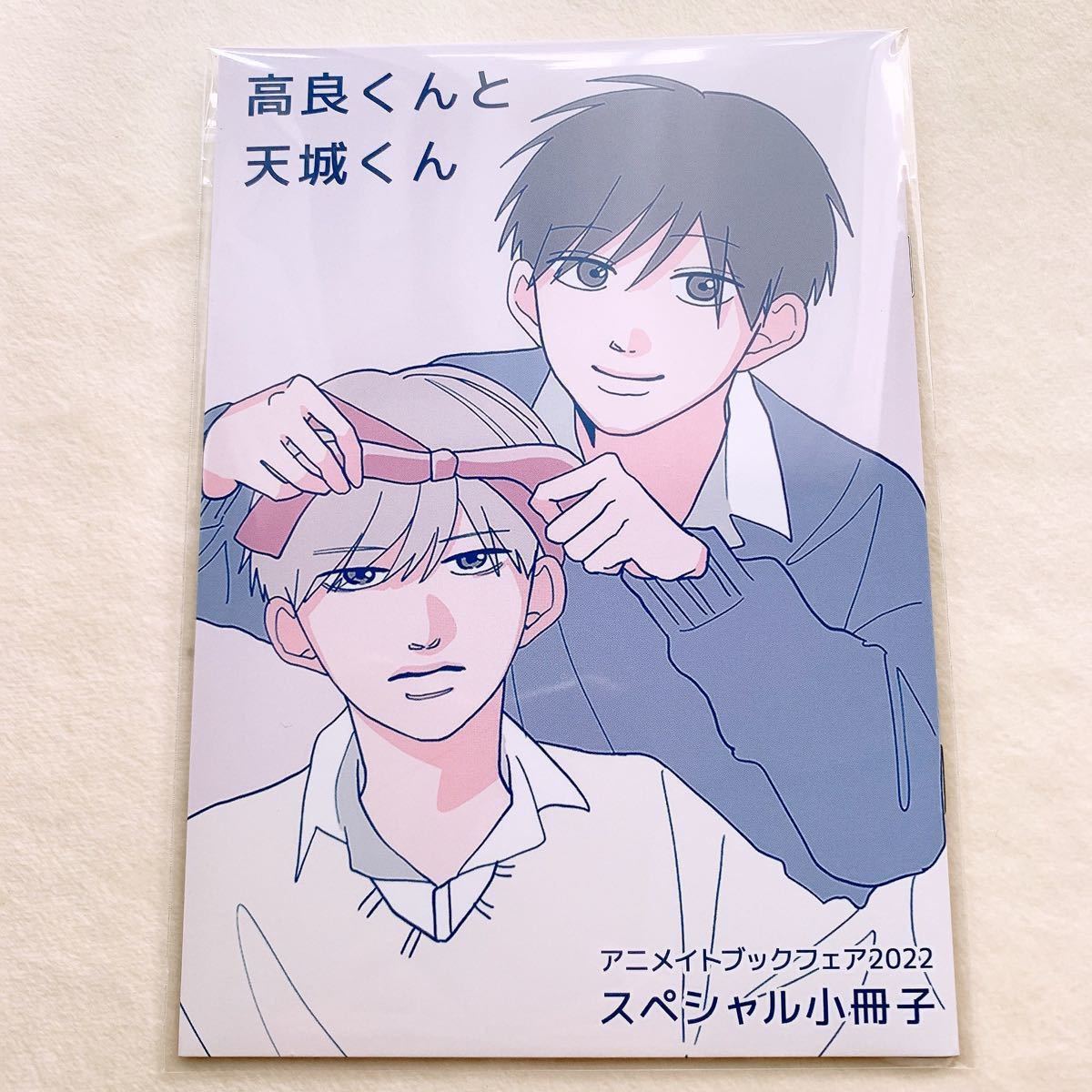 アニメイト ブックフェア 2022 メロンの味 結んだ恋の伝え方 高良くん