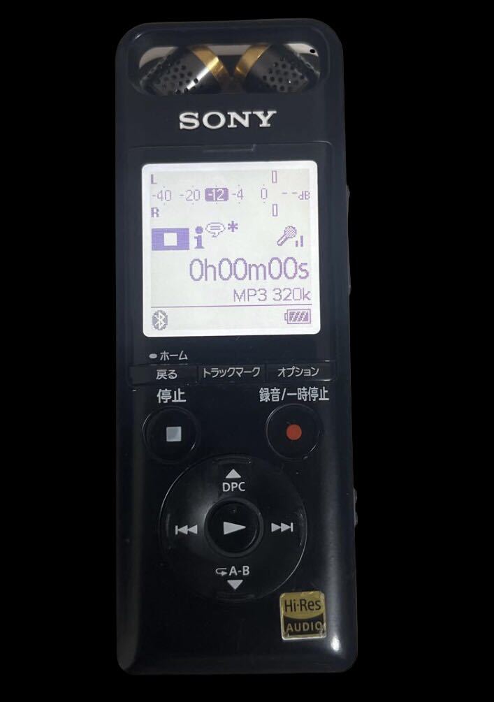 SONY ICレコーダー PCM-A10 品 本体のみ動作確認済み bpbd.kendalkab.go.id