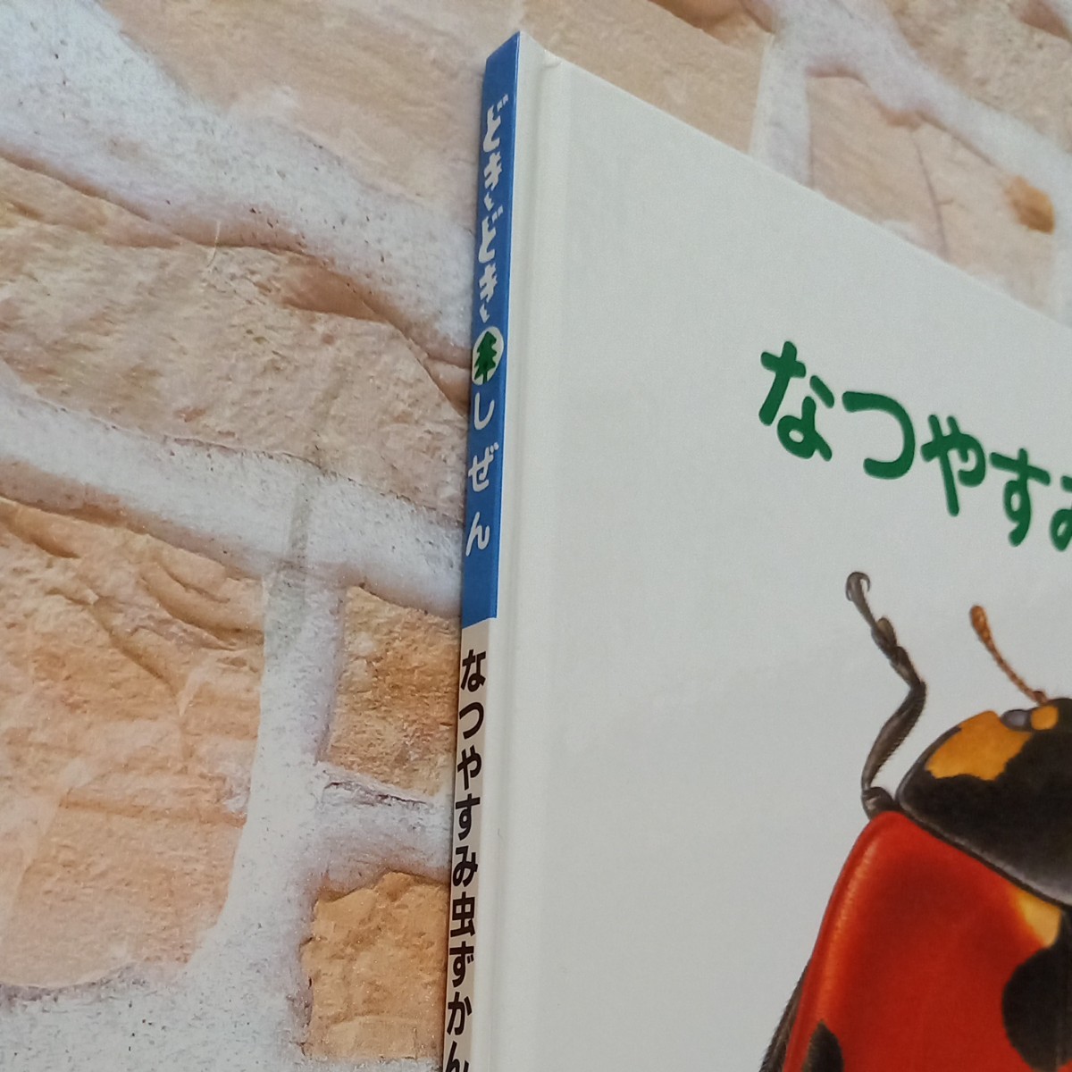 なつやすみ虫ずかん　かがくのとも　福音館書店