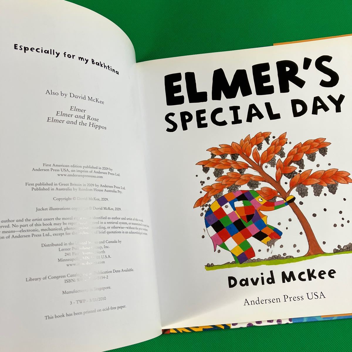 ELMER’S SPECIAL DAY David Mckee ゾウのエルマー　英語　絵本　デビッドマッキー