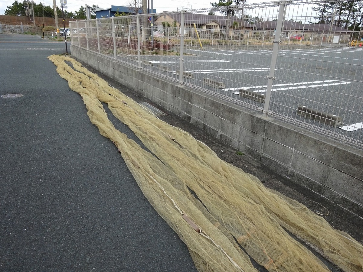 静岡県発　全長110m　漁網　捕獲網　追い込み網　袋網　地引網　養殖用　池上げ　ネット　魚網_画像2