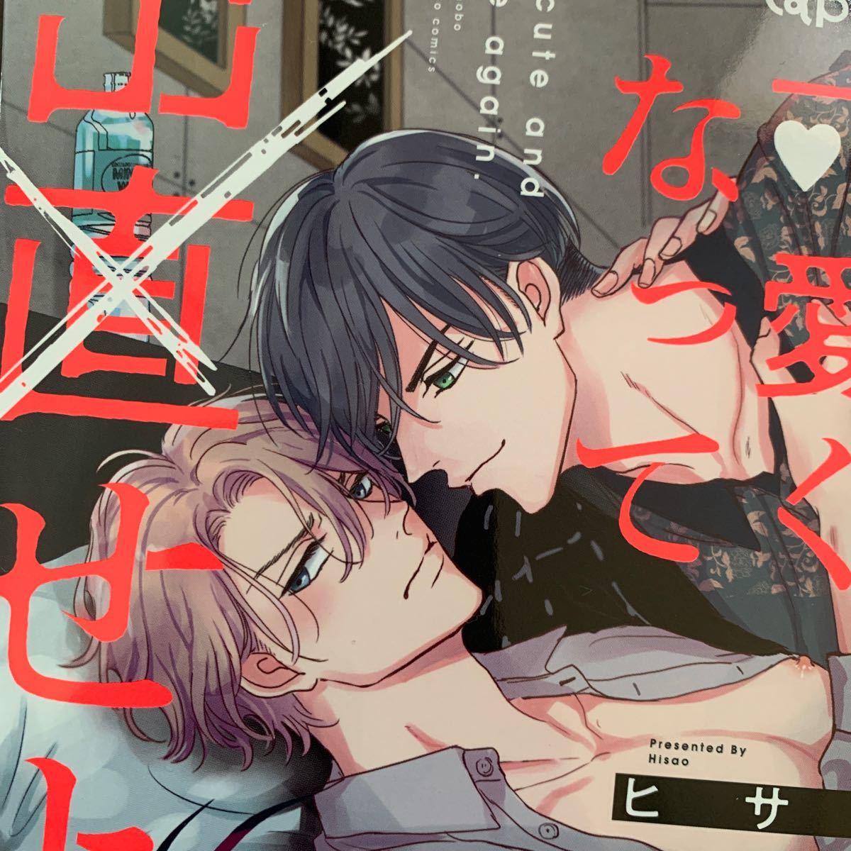 佐久本 あゆ BL コミック 14冊+ポストカード 佐久本 あゆBL コミック14冊+ポストカード