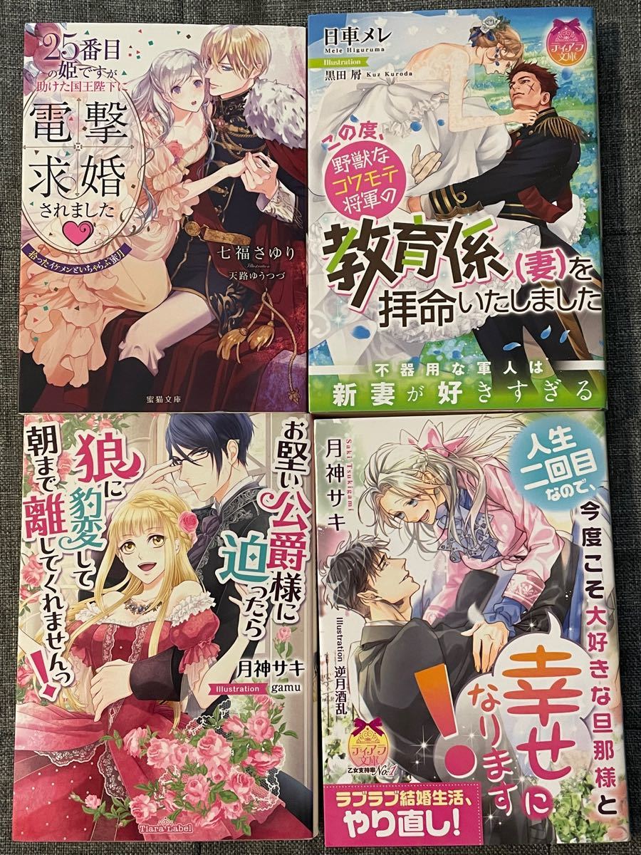 TL小説　25番目の姫ですが助けた国王陛下に電撃求婚されました　この度、野獣なコワモテ将軍の教育係(妻)を拝命いたしました　他