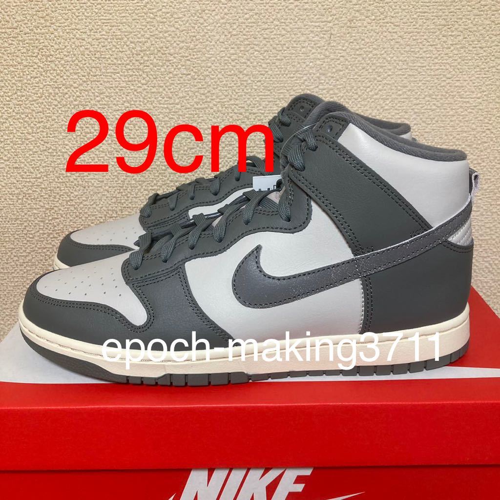 話題の行列 NIKE ナイキ DUNK HI SE 29cm ecousarecycling.com