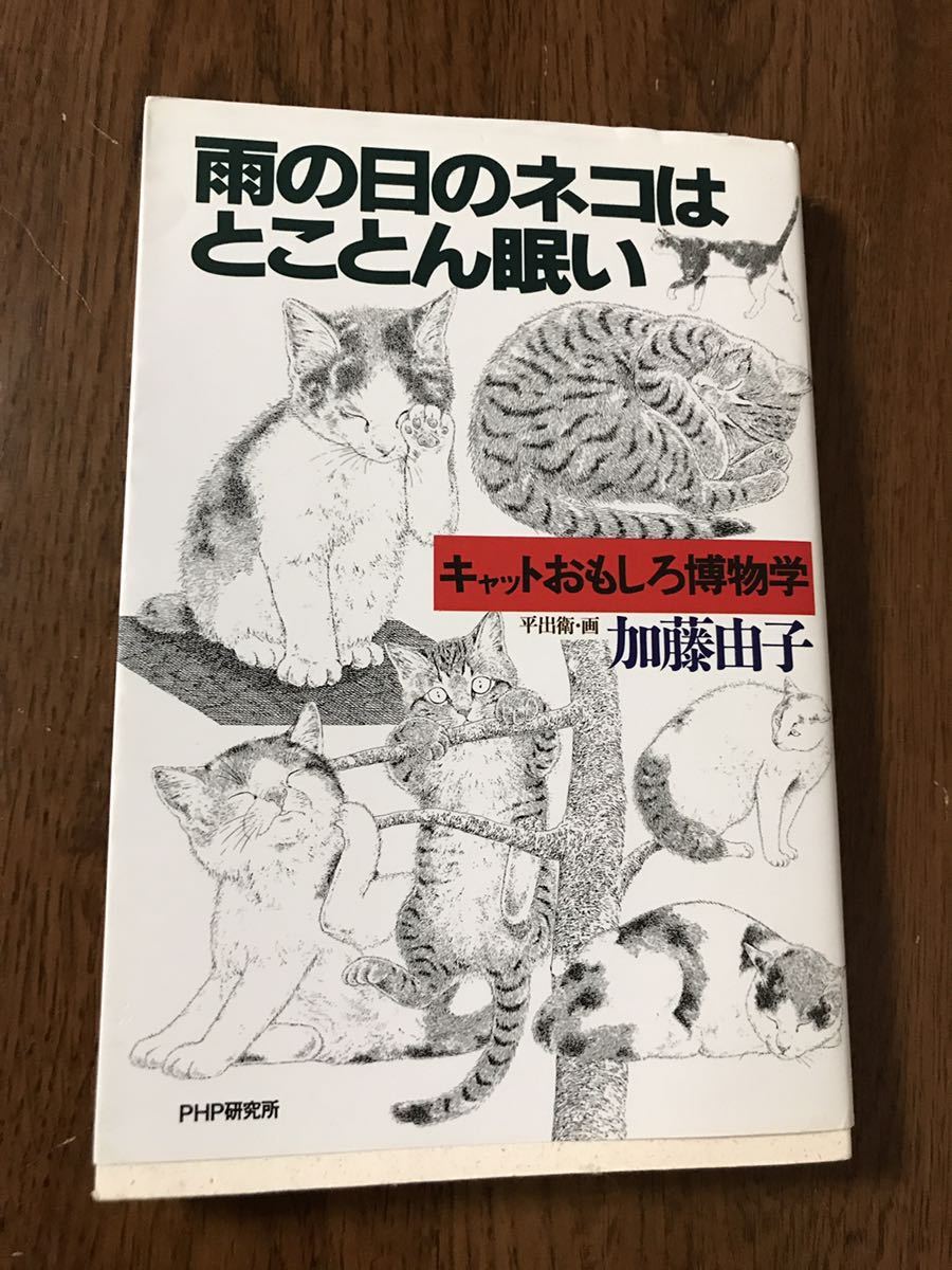 雨の日のネコはとことん眠い　キャットおもしろ博物学 ／加藤由子_画像1