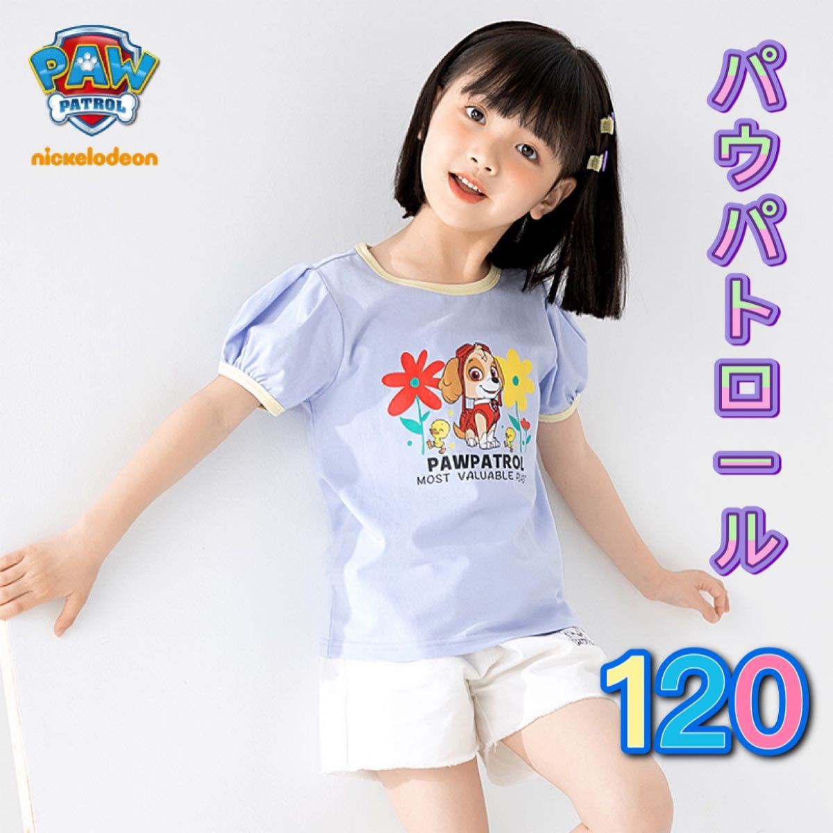 新品 パウパトロール 半袖 パウパト スカイ Tシャツ 紫色 120cm