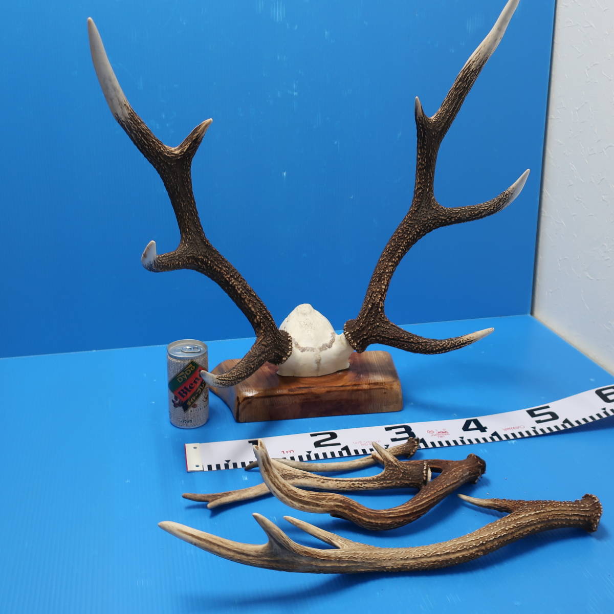 鹿角 刀掛け 高さ55cm 鹿角 刀掛け 高さ55cm