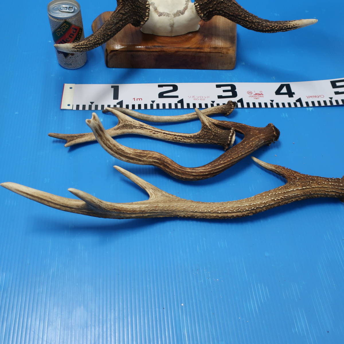 鹿角 刀掛け 高さ55cm 鹿角 刀掛け 高さ55cm