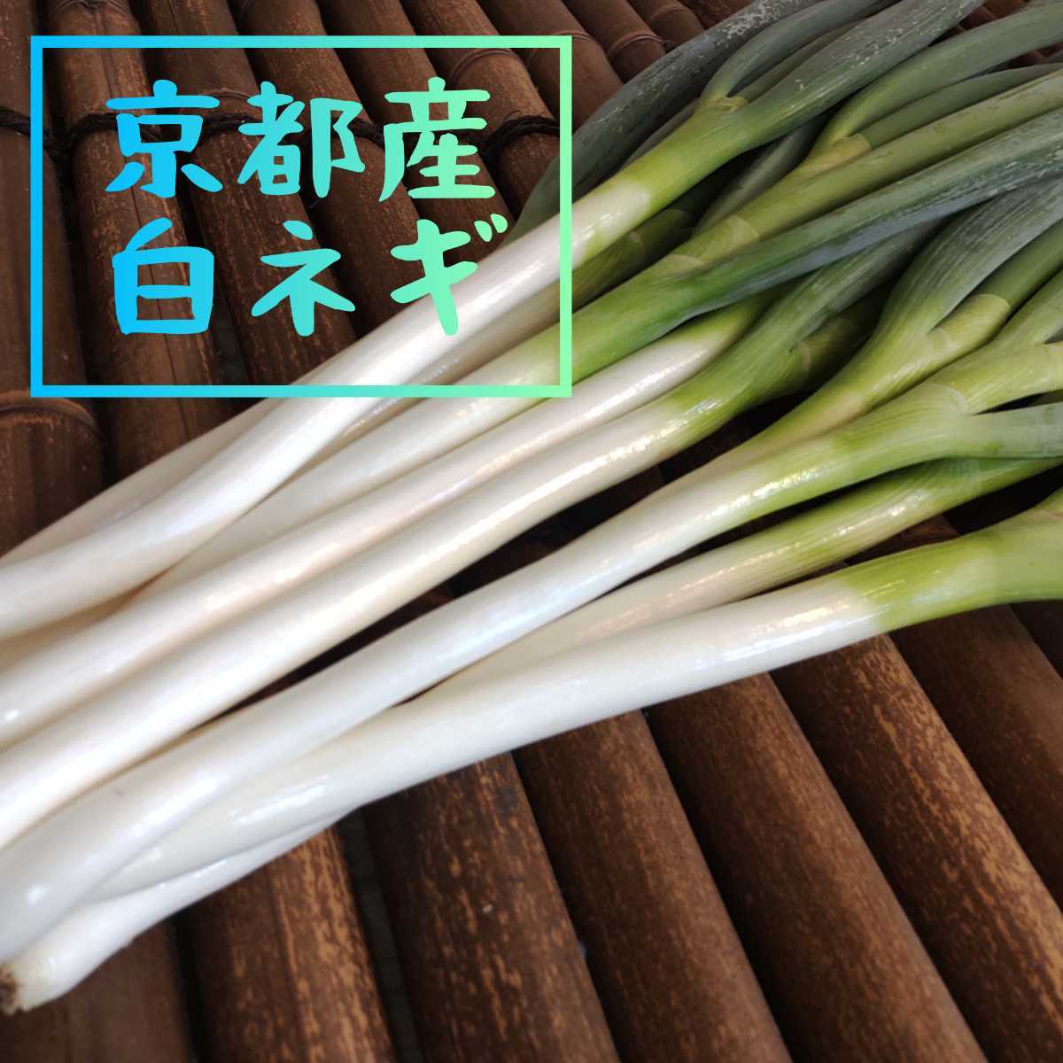 白ネギの値段と価格推移は 13件の売買情報を集計した白ネギの価格や価値の推移データを公開 白ネギの値段と価格推移は 13件の売買情報を集計した白ネギの価格や価値の推移データを公開
