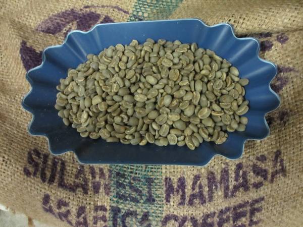 コーヒー生豆　トラジャ-ママサ　1ｋｇより　#726_この生豆を焙煎します。