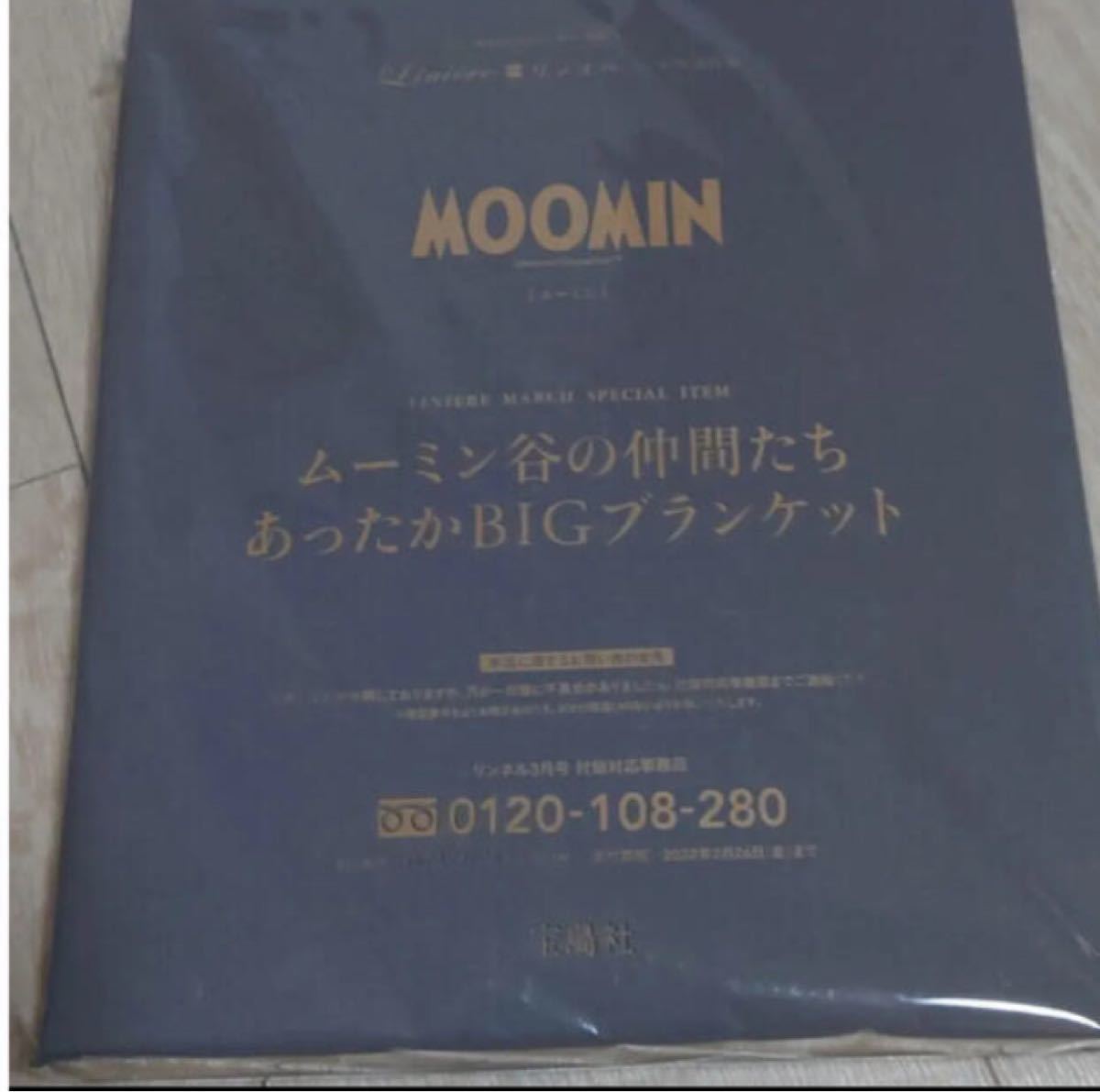 リンネル 3月号　付録 ムーミン谷の仲間たち　あったか　BIG ブランケット