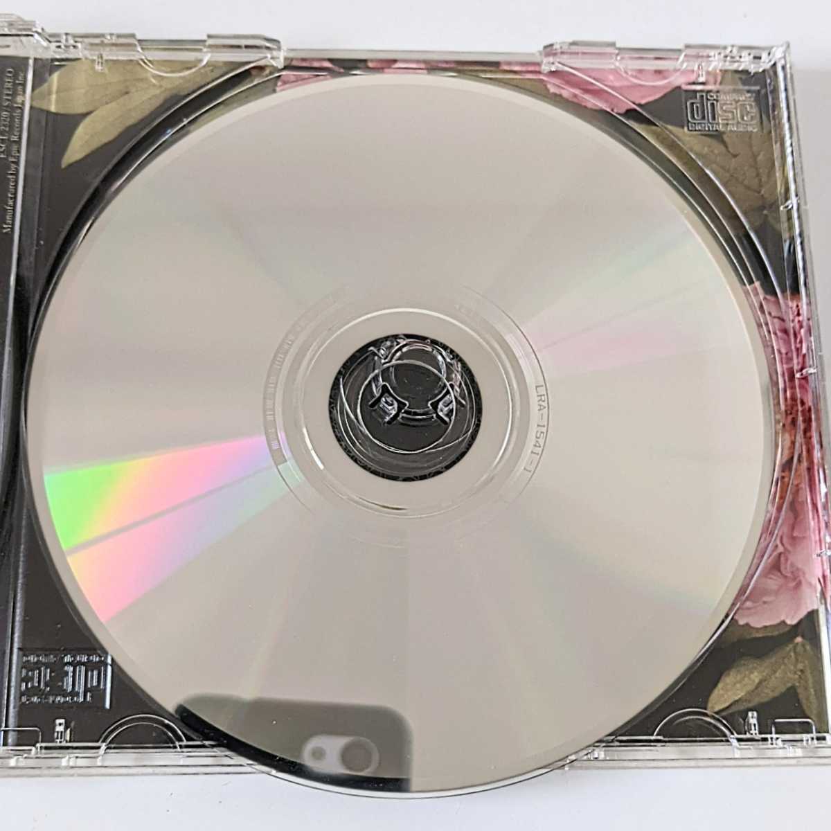 【アルバムCD】元ちとせ　ハイヌミカゼ　J-POP　邦楽　貴重　希少_画像5