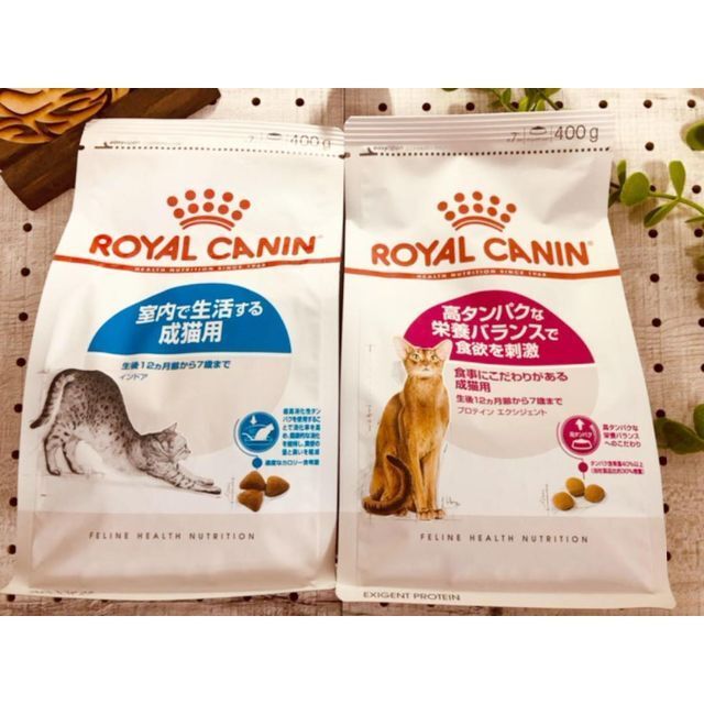 ロイヤルカナン インドア成猫 と 高タンパクプロテイン 店舗 ロイヤルカナン インドア成猫 と 高タンパクプロテイン 店舗