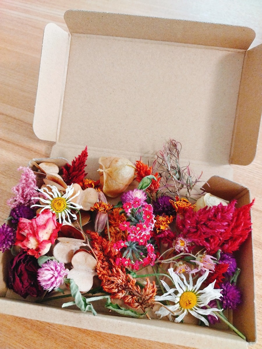 箱いっぱい　ナチュラル花材 花材 詰め合わせ　素材　ドライフラワー　セット　ハーバリウム　ハンドメイド　キャンドル　アクセサリー