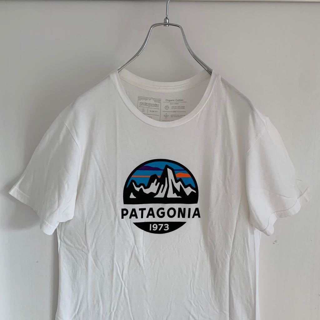 【人気】USA製 patagonia パタゴニア メンズ フィッツロイ スコープ オーガニック 半袖 Tシャツ 39144SP19