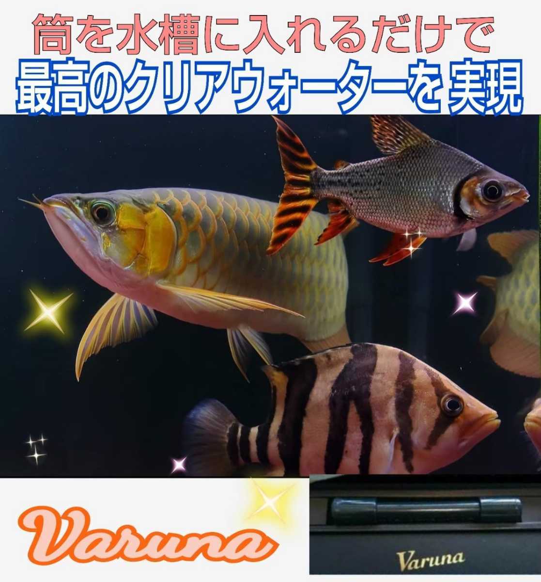 水槽の水が綺麗になります!ヴァルナミニ☆水替えが不要に! 水槽の水が綺麗になります!ヴァルナミニ☆水替えが不要に!