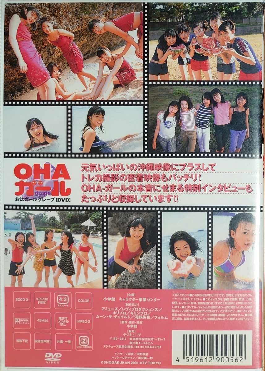 あびる優 芳賀優里亜 笹岡莉紗 内田莉紗 川田由起奈 DVD OHAガール お