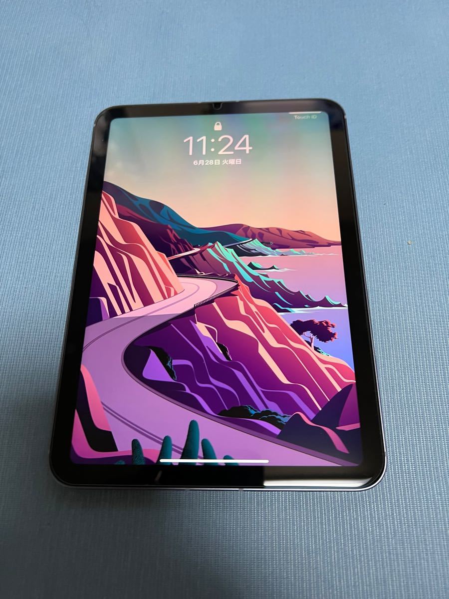 ポイント5倍 iPad mini 6 Celllar 64GB パープルPK8E3J/A | www