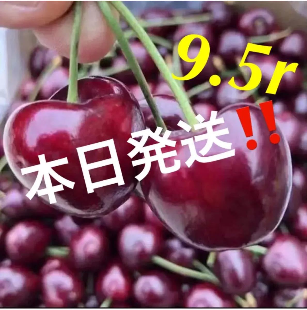 逸品】アメリカンチェリー1キロ(10.5Rサイズ) 果物 | isarastrology.org