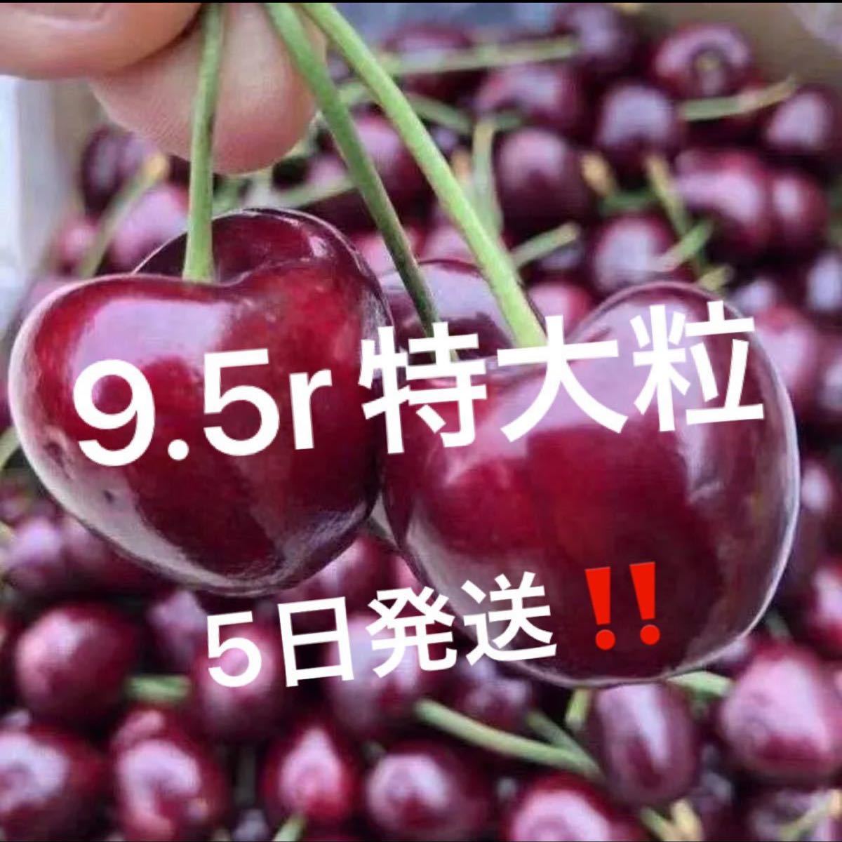 果物 たしろ屋 9 5r大粒 新鮮チェリー アメリカンチェリー 1kg 6breeod7xe Www Casg Cl 果物 たしろ屋 9 5r大粒 新鮮チェリー アメリカンチェリー 1kg 6breeod7xe Www Casg Cl