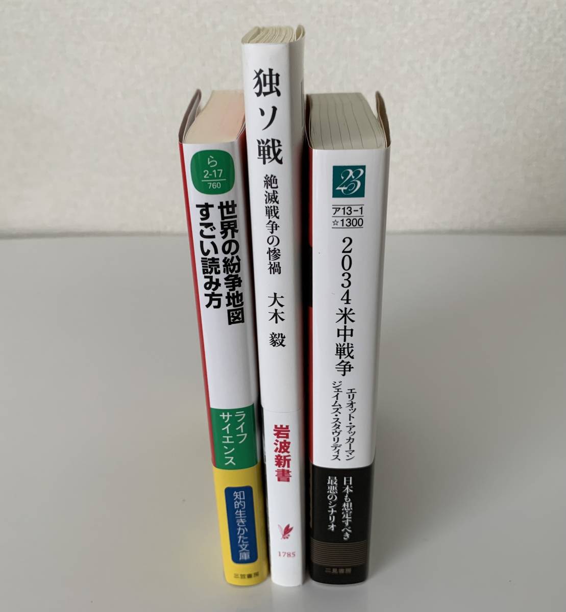 2034 米中戦争 独ソ戦 絶滅戦争の惨禍 世界の紛争地図 2034 米中戦争 独ソ戦 絶滅戦争の惨禍 世界の紛争地図
