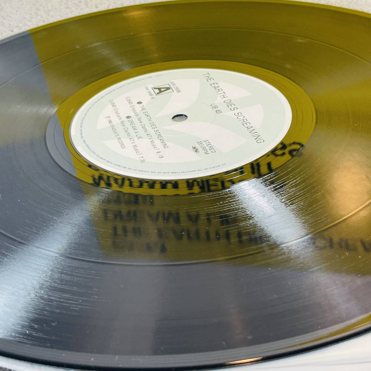 LP盤　レコード　UB40　THE EARTH DIES SCREAMING　record　1円スタート_画像10