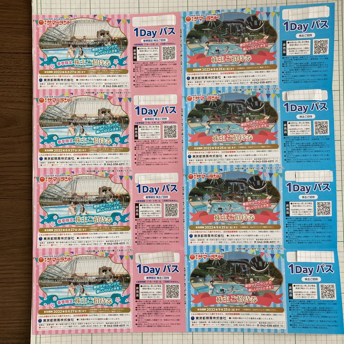 プチギフト 東京サマーランド株主優待券tb | ferreteriaztahuacan.com