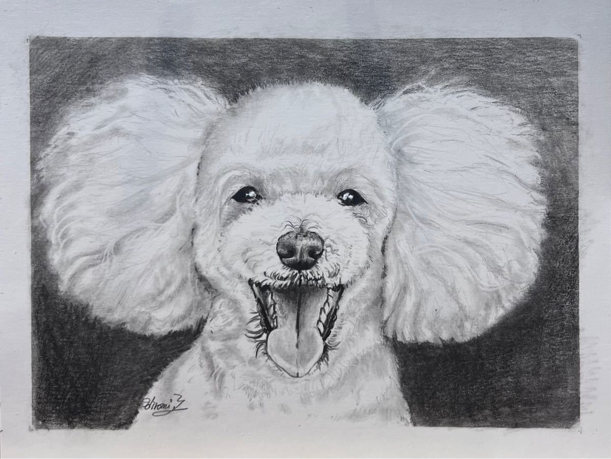 Paypayフリマ 鉛筆画 原画 手描き プードル トイプードル イラスト モノクロ オーダー 猫 動物 ペット Paypayフリマ 鉛筆画 原画 手描き プードル トイプードル イラスト モノクロ オーダー 猫 動物 ペット
