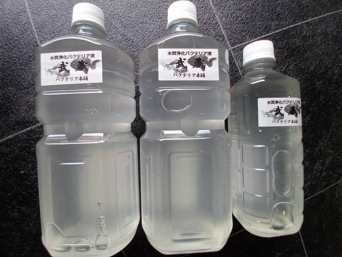 【バクテリア本舗 本店】武蔵 [2.5L]高濃度水質浄化バクテリア液(らんちゅう,めだか,グッピー,金魚,錦鯉,シュリンプ,熱帯魚,海水魚）_サムライEXとほぼ同様の性能を保持！