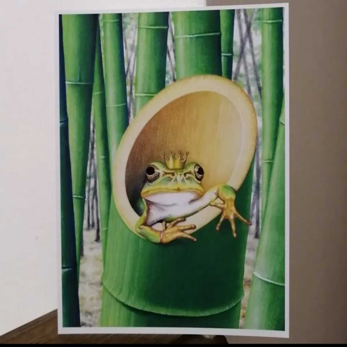B5 手描きイラストプリント かえる カエルの王子様 両生類 楽しい 癒し 竹林 絵 開運竹 送料無料 絵