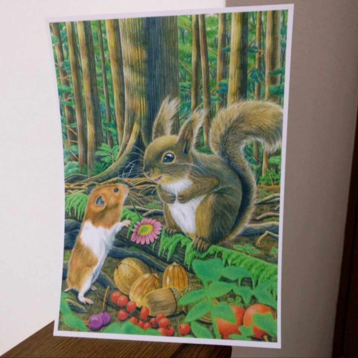 B5 手描きイラストプリント ほのぼの ハムスター リス 動物 可愛い 木の実 森 楽しい 癒し 絵 正規認証品 新規格 絵