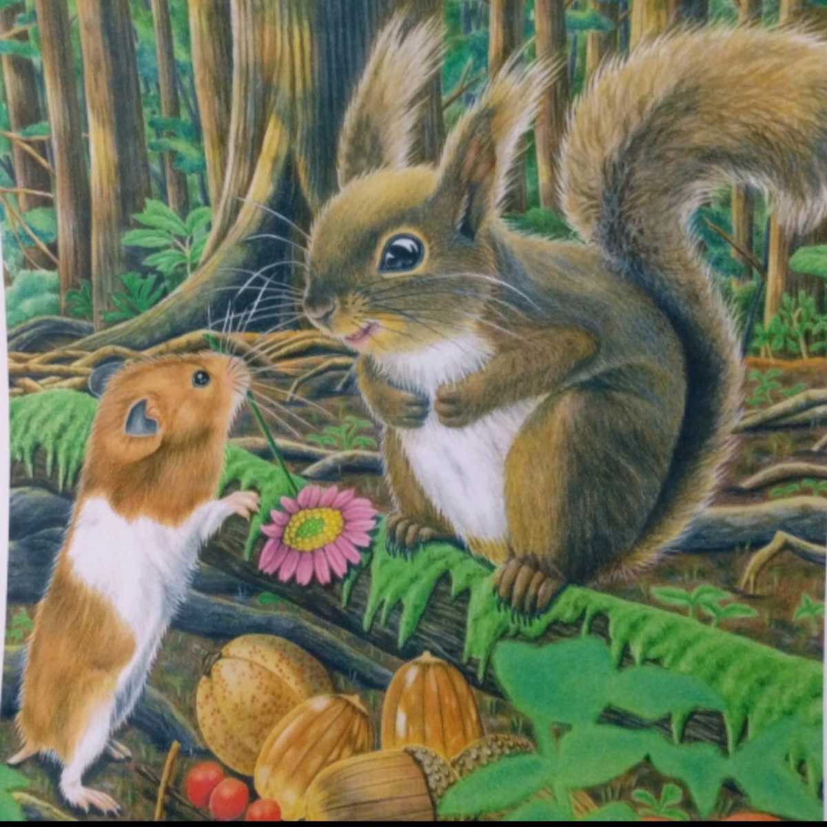 B5 手描きイラストプリント ほのぼの ハムスター リス 動物 可愛い 木の実 森 楽しい 癒し 絵 正規認証品 新規格 絵