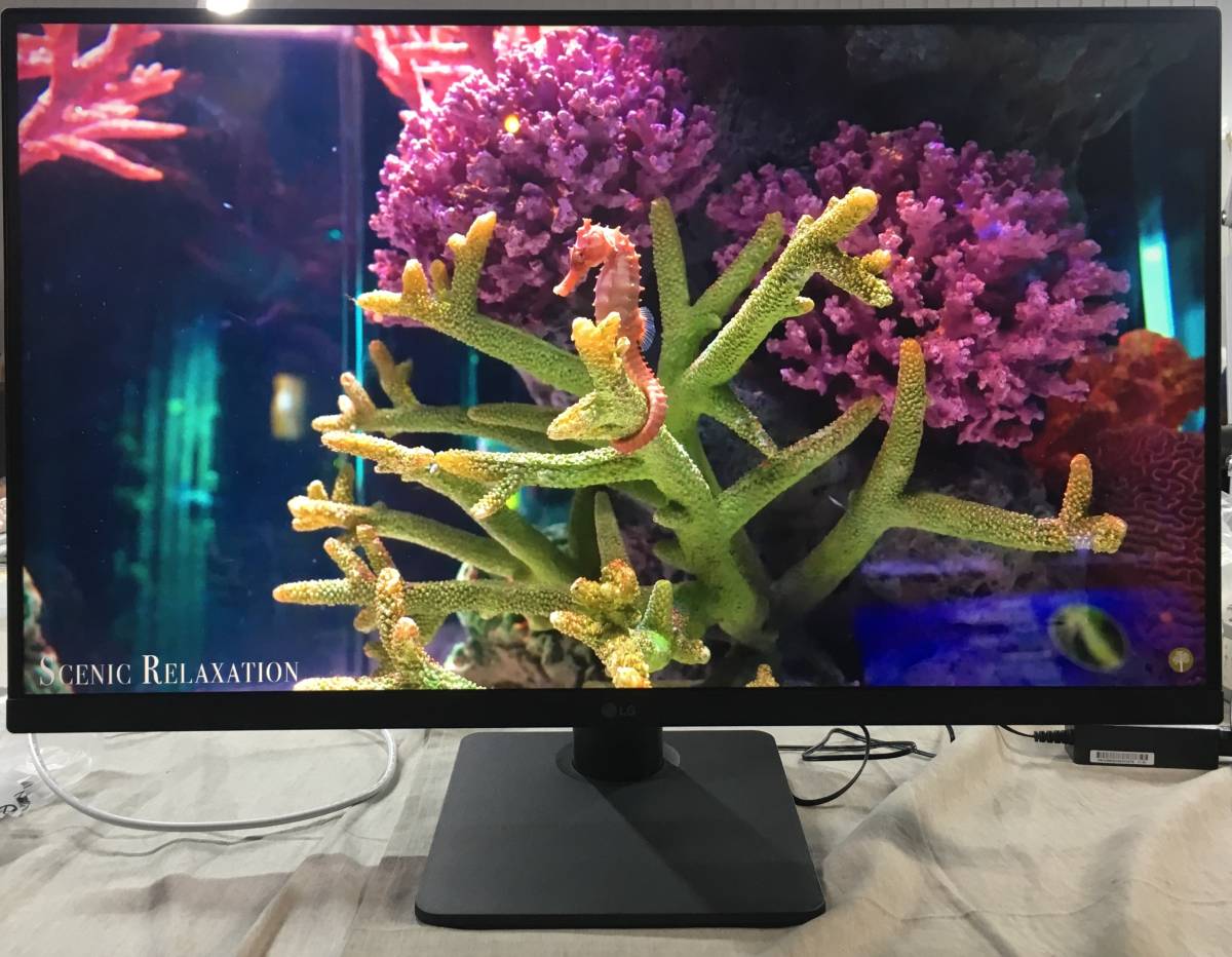 現状品 LG フレームレス モニター ディスプレイ 27MP450 www
