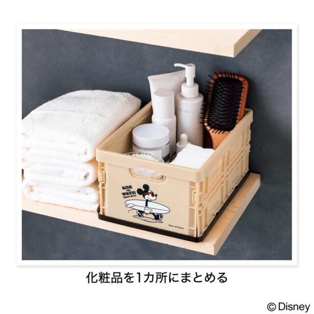 InRed in red 2022 year 5 month number [ magazine appendix ] Mickey Mouse design Surf pattern . pretty! one-side .. container BOX