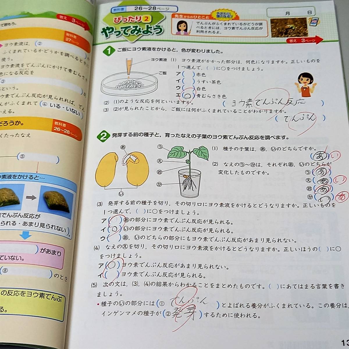 教科書ぴったりテスト 理科 5年 たのしい理科 オールカラー 大日本図書版 新版 新興出版社 国内発送 5年 教科書ぴったりテスト 理科 5年 たのしい理科 オールカラー 大日本図書版 新版 新興出版社 国内発送 5年
