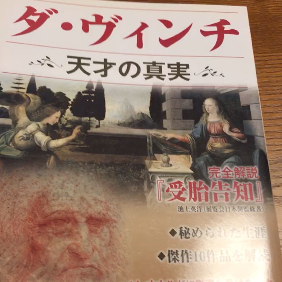 ダヴィンチ 天才の真実 完全解説 「受胎告知」 別冊宝島／芸術芸能エンタメアート