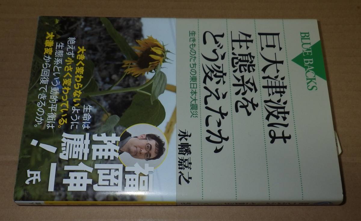 巨大津波は生態系をどう変えたか　― 生きものたちの東日本大震災 ―　　　　　ブルー・バックス　　　　　　永幡嘉之　　　　　　講談社_画像1