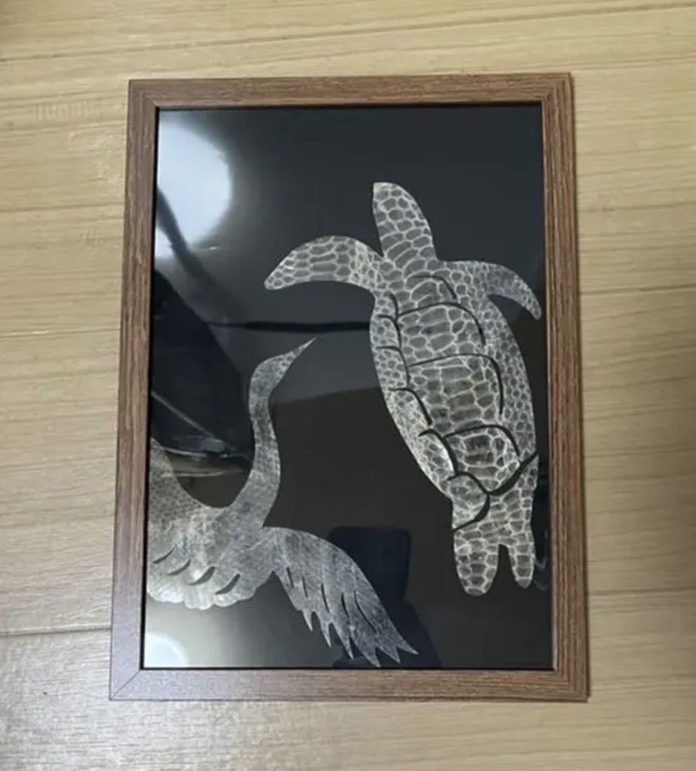 蛇の抜け殻 白蛇 アート 金運 開運 魔除け 家内安全 風水|Yahoo 蛇の抜け殻 白蛇 アート 金運 開運 魔除け 家内安全 風水|Yahoo