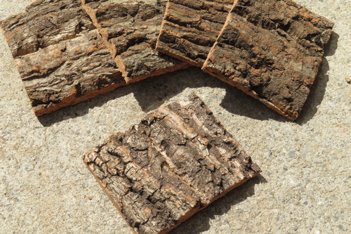 5枚　コルク　樹皮　コルク板　10×8ｃｍ（厚約10ｍｍ以下）洋蘭　原種　チランジア　エアープランツ　小型　ビカクシダ　ラン　コルク_画像1